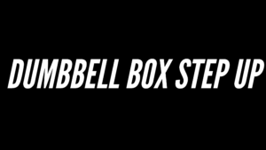 barbell-box-step-up