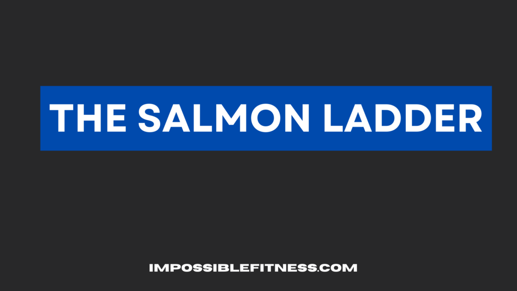 salmon-ladder