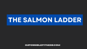 salmon-ladder